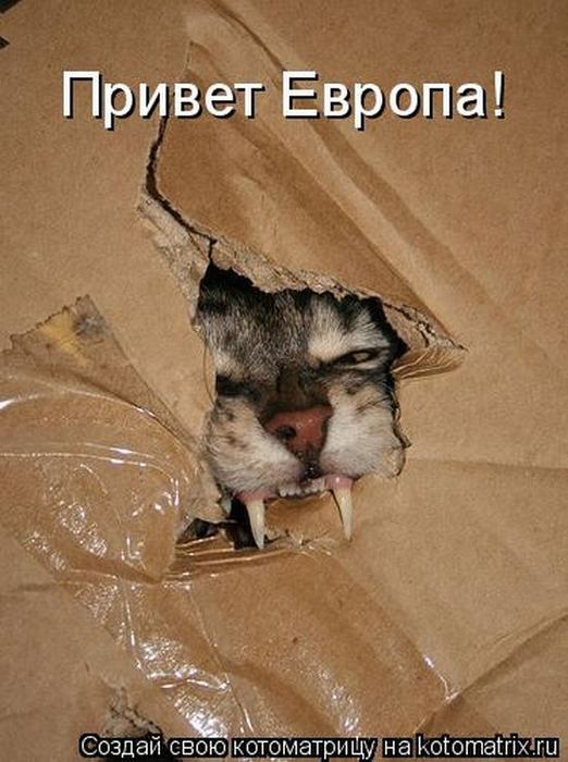 Мысли вслух :)