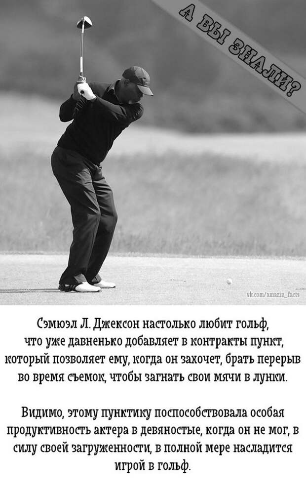 интересные факты