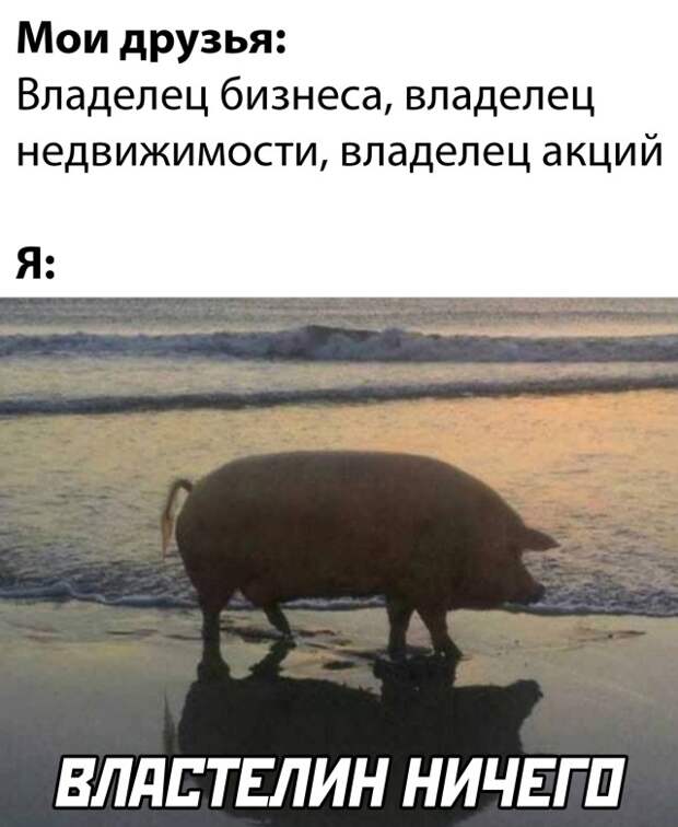 Смешные картинки вечер 6 декабря 2021 года