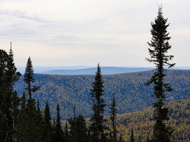 Друг заявил об убийстве семьи Усольцевых: «Сын Ирины обманывает всех нас»