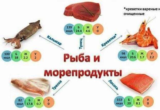 Количество белка в морепродуктах