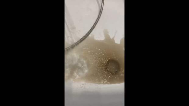 Сегодня перед подачей воды поменяла фильтры (фото 1). Спустя 5 минут подачи они стали такими (фото 2). Ванну после видео отмыть получилось только сред...