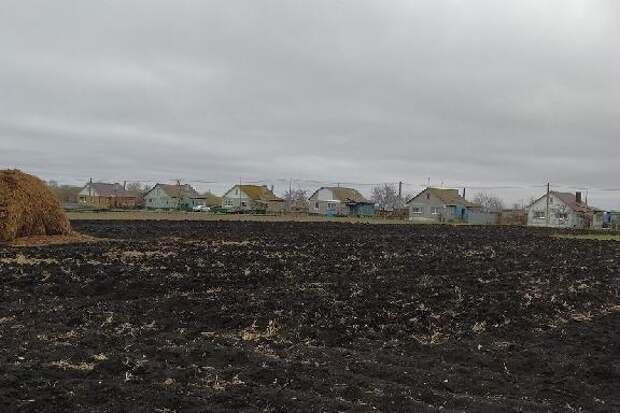 Главный агроном украл с собственного склада 12 коробок гербицидов