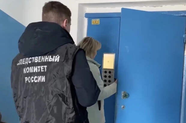 Заклеил рот, вынес в сумке: новые детали похищения девочки в Смоленске