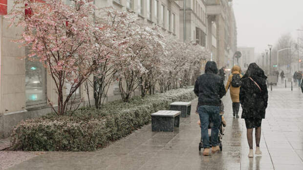 -8 градусов и метель: синоптики назвали дату снежного апокалипсиса в Москве