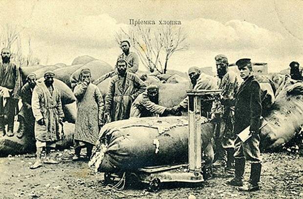 Приемка хлопка в Семипалатинской области. Фото: Центральный государственный архив кинофотодокументов Санкт-Петербурга