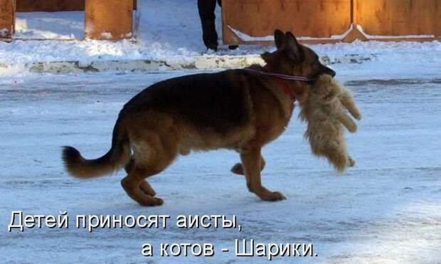 Мысли вслух :)