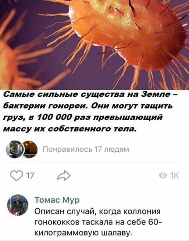 Каждый день