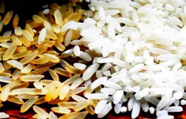Поддельный рис, которым нас пытаются кормить: от чего он вреден и как его распознать