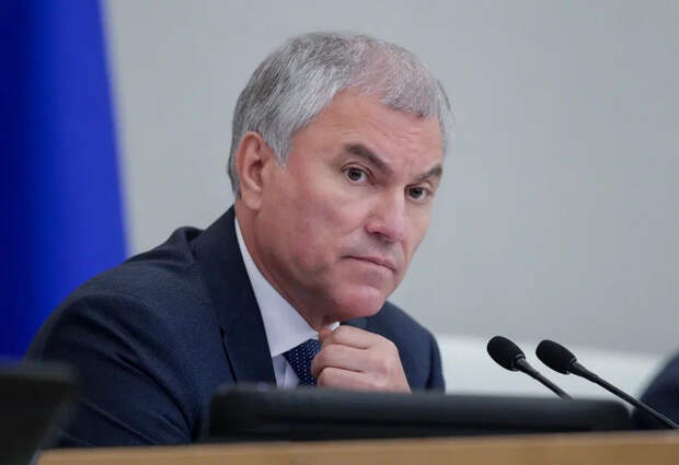 Володин сообщил о снижении числа случаев мошенничества на 18,3%