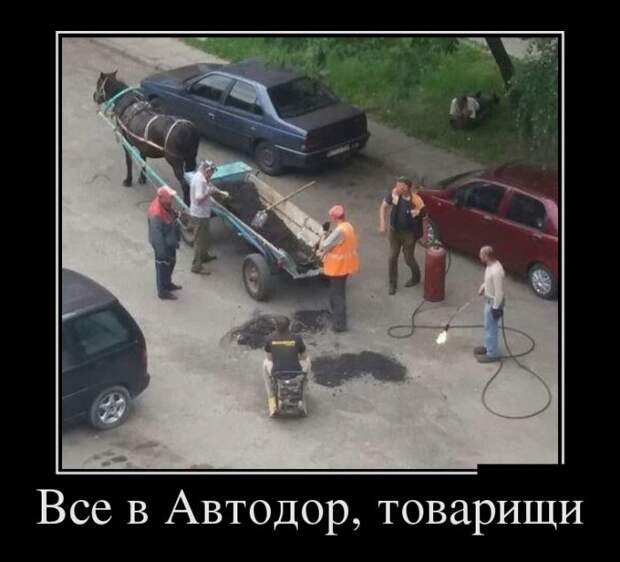 Демотиваторы (30 фото)