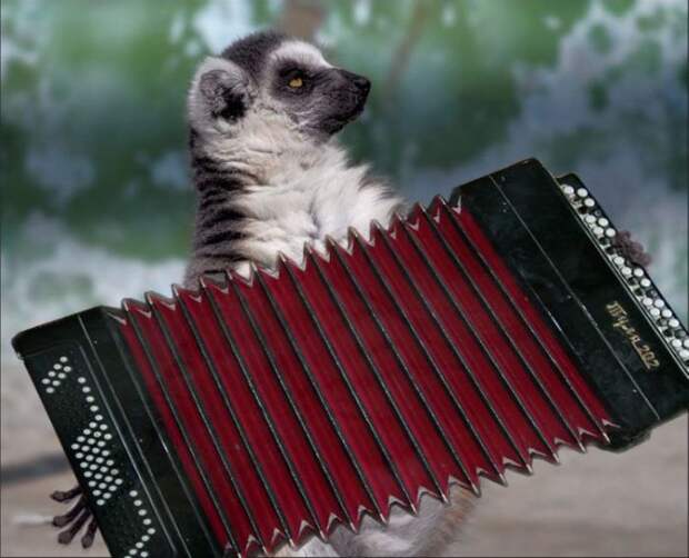 Давайте улыбаться вместе! :) (31повод)