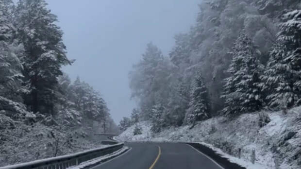 Республику Алтай припорошило снегом в первый день октября. Фото и видео