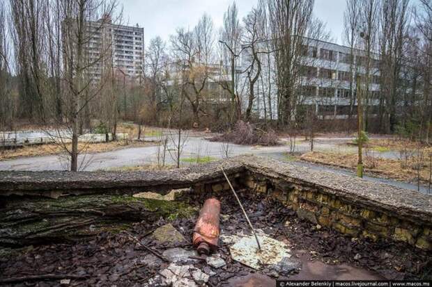 Мёртвый город Припять. Джунгли Чернобыля Мёртвый город Припять. Джунгли Чернобыля