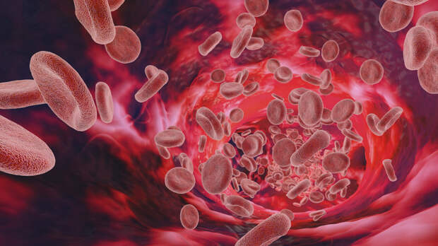Врач Болибок разъяснил, после какого возраста начинается иммунное старение