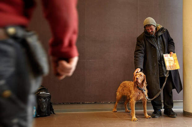 dogs_dont_care_about_money_all_they_need_is_love_640_06