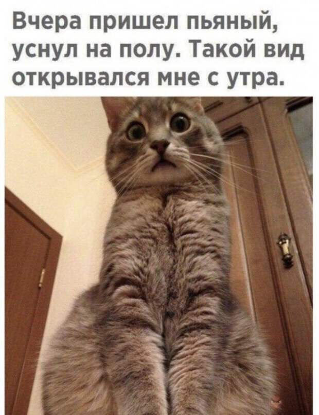 Алкопост Алкопост