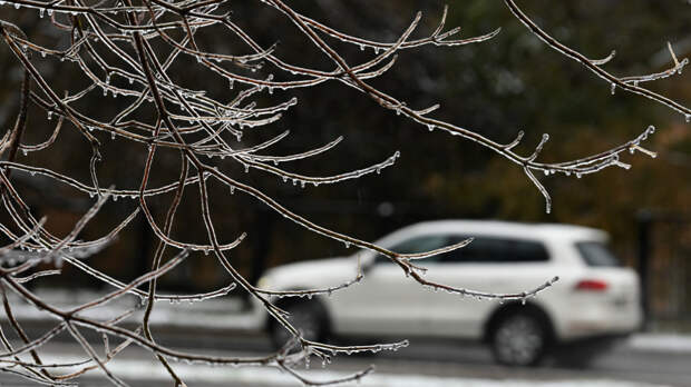Рано радовались: в Москву вернуться ночные заморозки