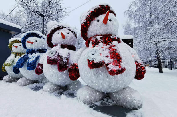 Сильные морозы придут в Москву и Подмосковье уже в эти выходные