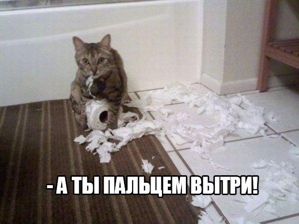 Позитивный пост+97 Позитивный пост+97