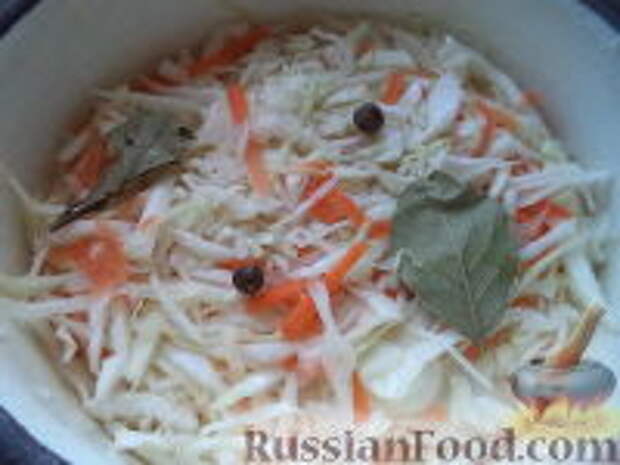 Фото к рецепту: Малосольная квашеная капуста Фото к рецепту: Малосольная квашеная капуста