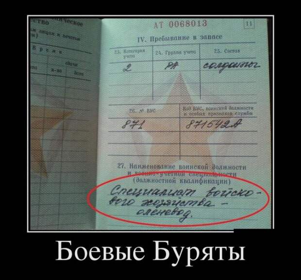 Демотиваторы