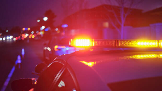 Силовики пресекли собрание радикальной проукраинской секты в Петербурге