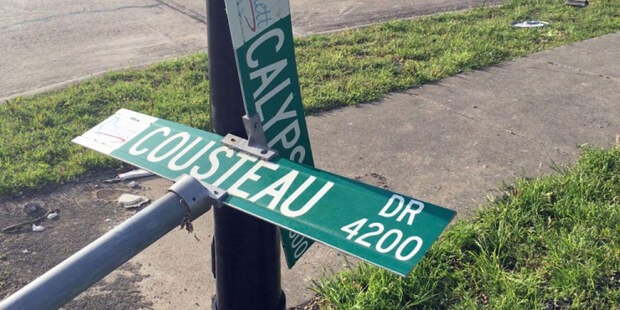 pic1_seagoville