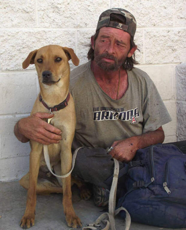 dogs_dont_care_about_money_all_they_need_is_love_640_19