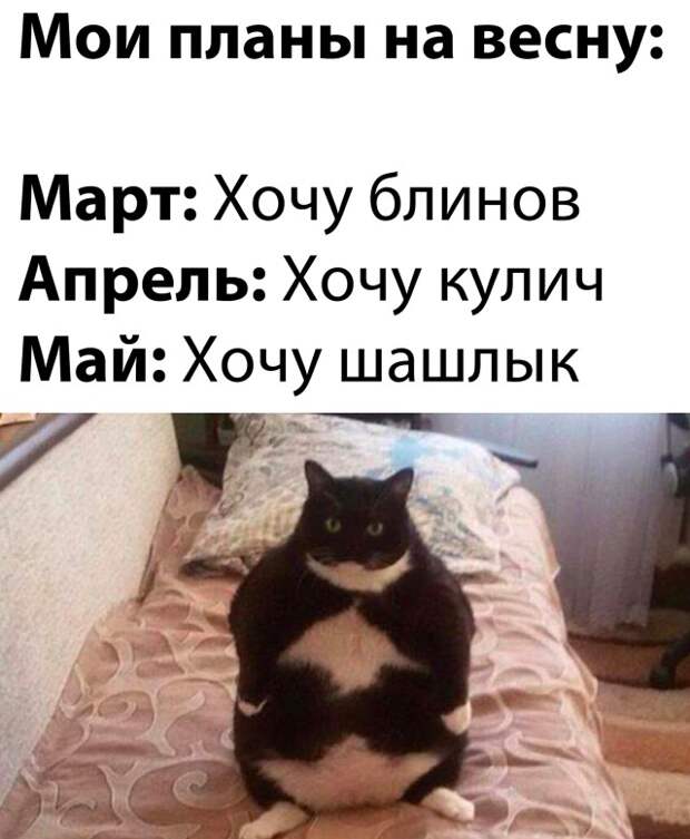 Смешные картинки вечер 4 марта 2021