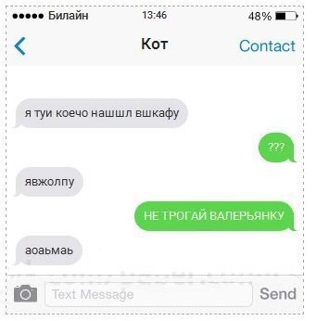 СМС ки от кота, прикольные
