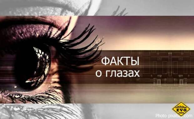 40 фактов о глазах, которых вы не знали