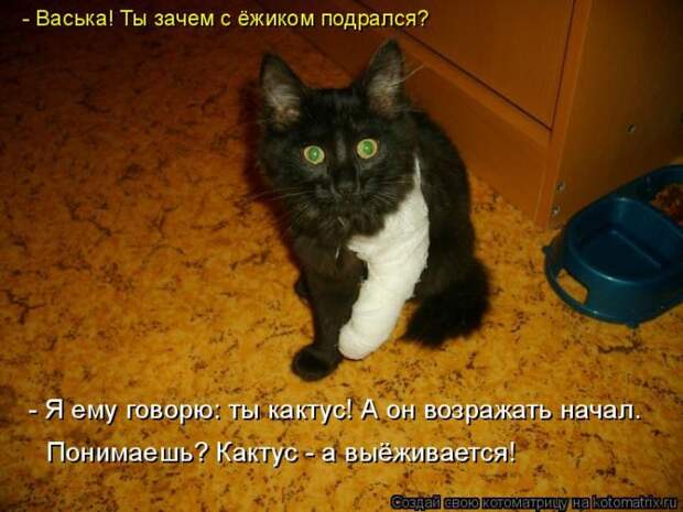 Забавные котоматрицы