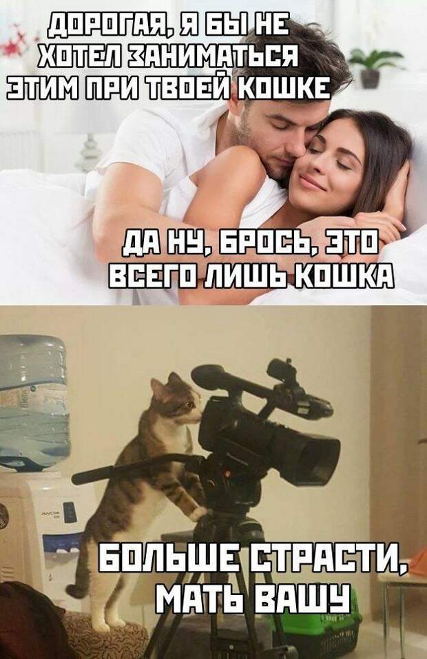 mwohaqdjhu8.jpg