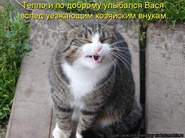 Котоматрица. Мысли вслух :)