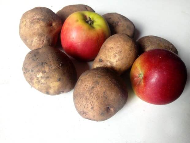 Если вместе с картофелем оставить несколько яблок, клубни не прорастут даже в тепле!