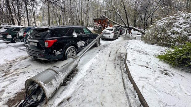 Москвичей предупредили о ненастье