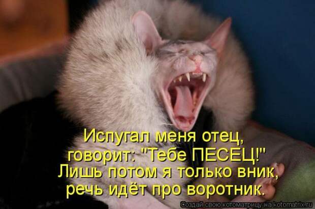 Мысли вслух :)