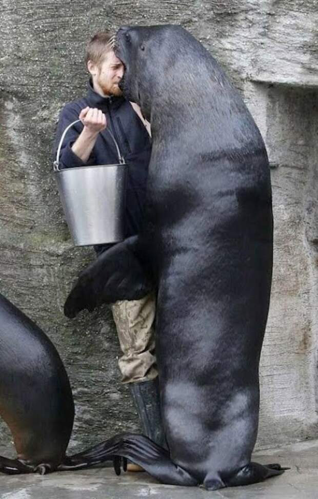 Не ешь