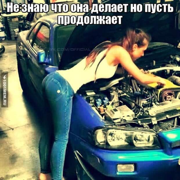 1.  авто, автоприколы, приколы