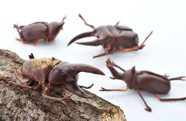 chocolate-art-sculptures-99__605_result