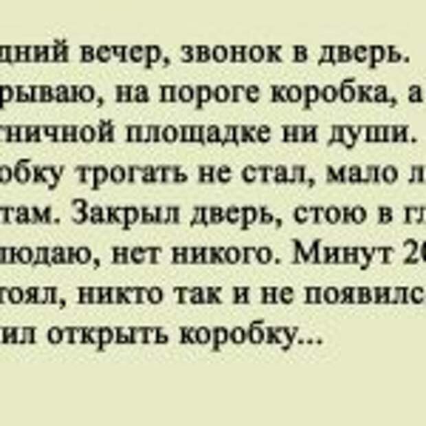 У меня самый необычный и полезный питомец в мире