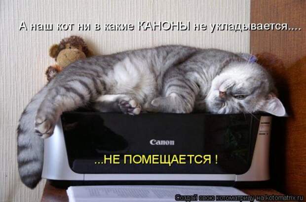 Мысли вслух :)