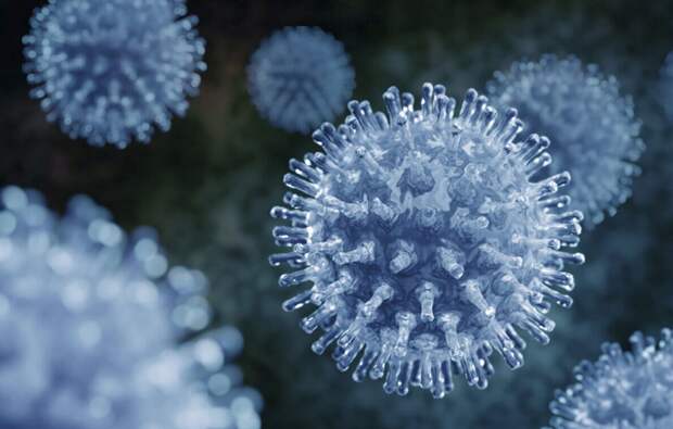 В глубинах Сибири нашли неизвестные вирусы: российские ученые исследуют подземную биосферу