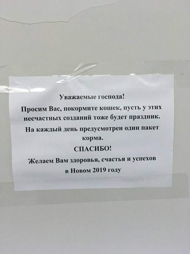 14. 14. добро, доброта, искренность, не все потеряно, отношение, помощь, россия