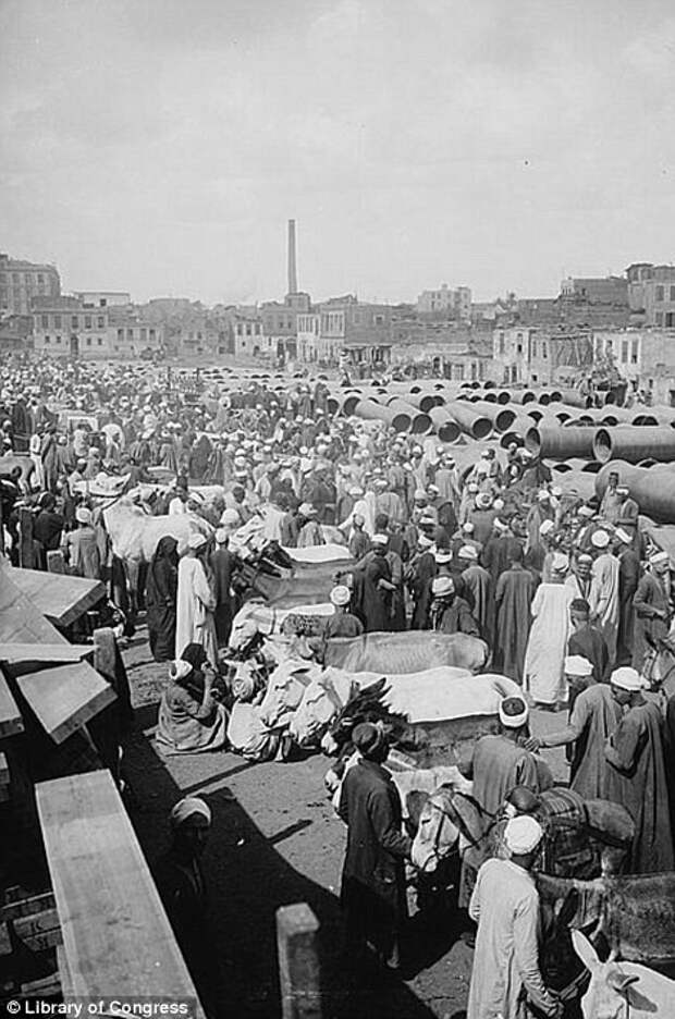 Атмосфера стремительно меняющегося Каира в 1900 – 1936 годах египет, каир, черно-белые фотографии