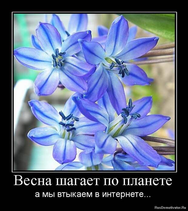 13.  весна, демотиваторы, юмор