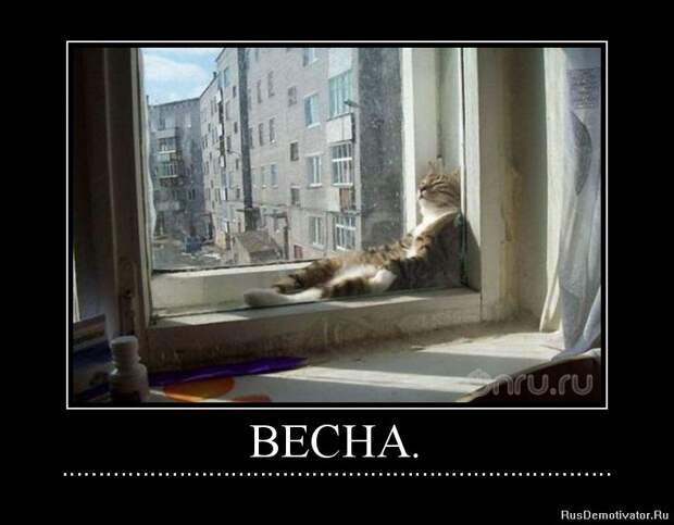 16.  весна, демотиваторы, юмор