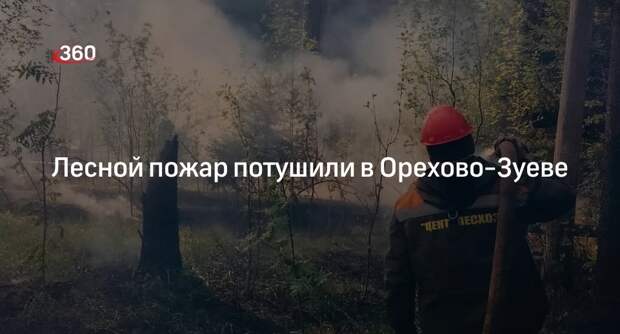 Лесной пожар потушили в Орехово-Зуеве