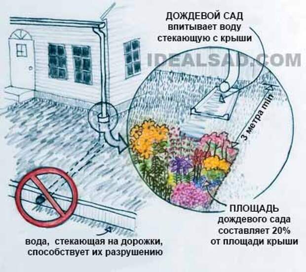 способы отвода дождевой воды